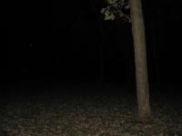 Chicago Ghost Hunters Group investigates Robinson Woods (183).JPG